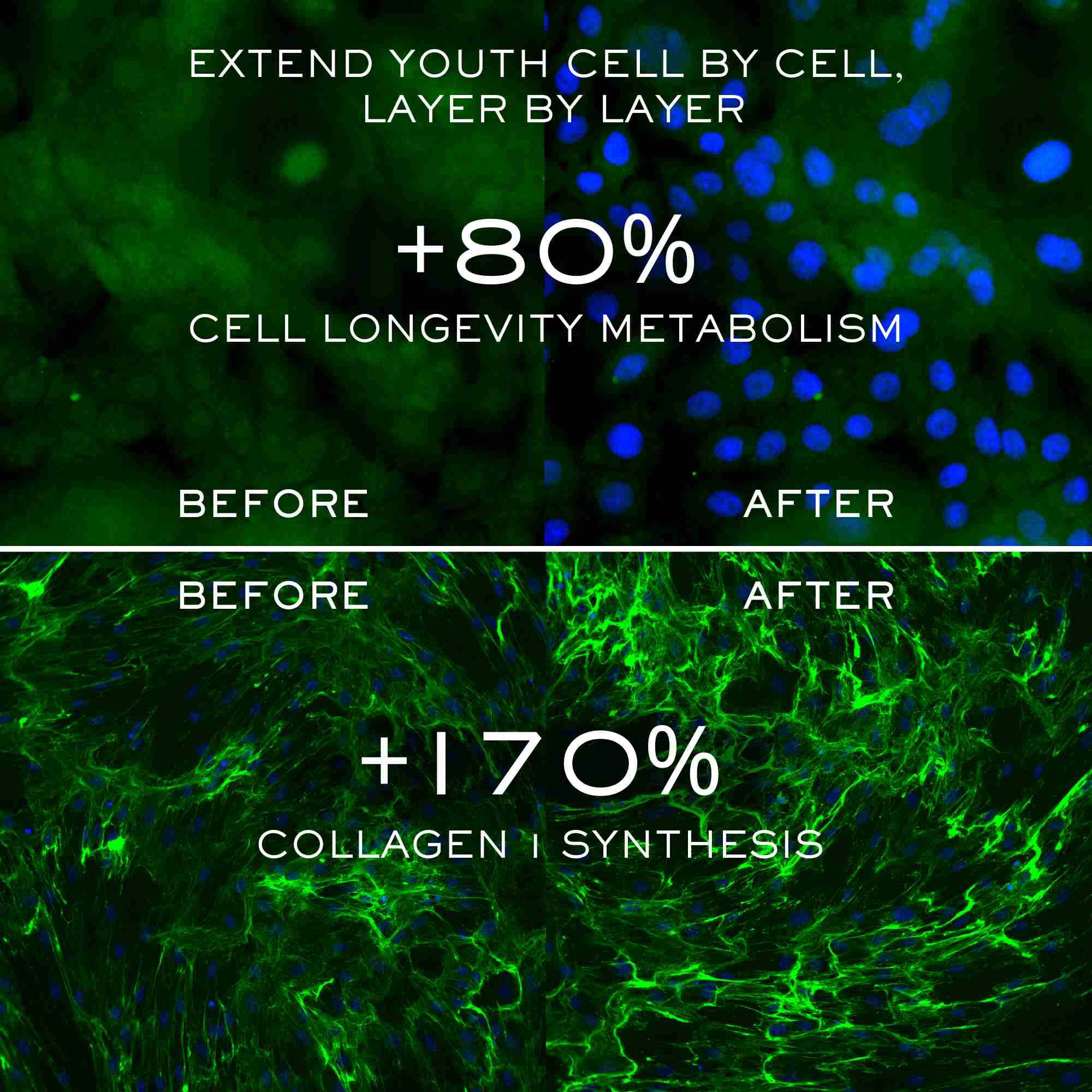 ABSOLUE LONGEVITY THE SOFT CREAM