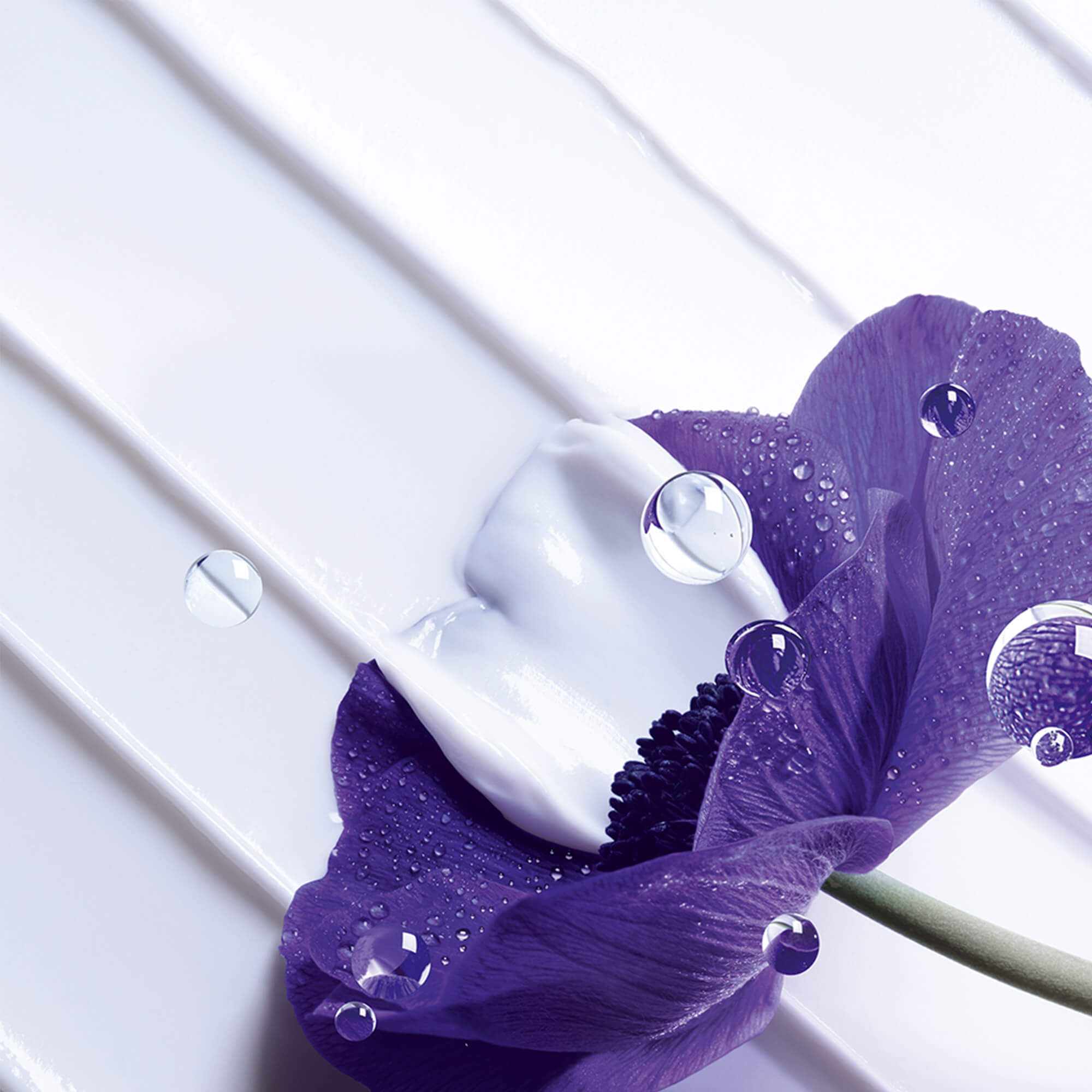 كريم رينيرجي زيو مالتي ليفت ألترا